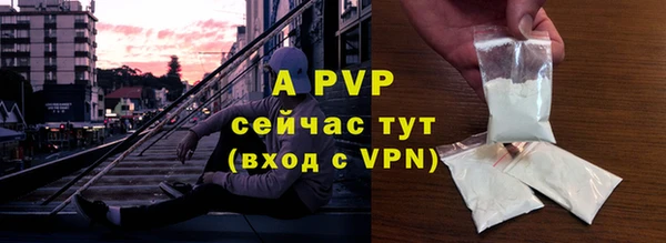 СК Аркадак