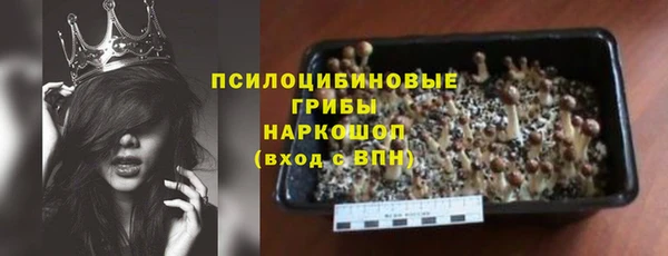 амф Арсеньев