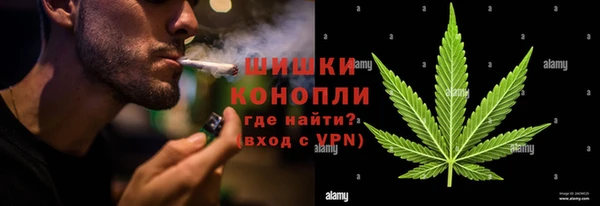 амф Арсеньев