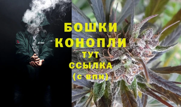 СК Аркадак
