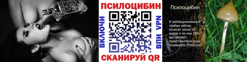 как найти закладки  Камбарка  Галлюциногенные грибы Magic Shrooms 