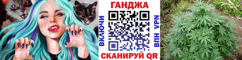 Конопля гибрид Камбарка